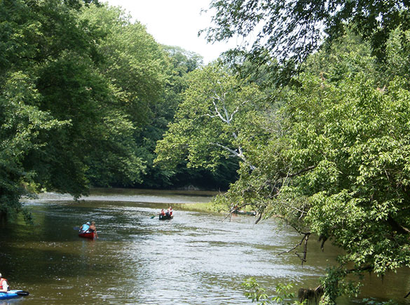 Paradise Found banner image