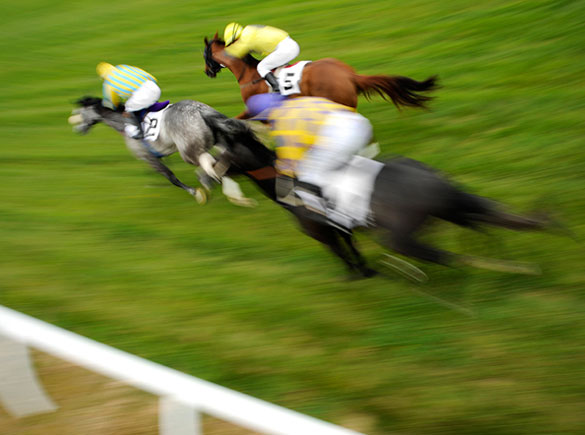 Horse Play banner image