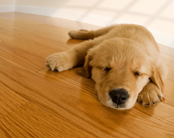 LIFESTYLE CONVENIENCES BANNER